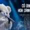 CỎ DẠI VÀ HOA DÀNH DÀNH – Cỏ Dại Khô Dưới Chân | BXH HITS CA SĨ GIẤU MẶT Hay Nhất 2026