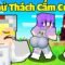Nếu Tô Gà Cười, Tô Gà Sẽ Chế…