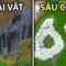 30 Seed Minecraft KỲ LẠ Nhất Từng Được Tìm Thấy