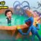 [ROBLOX] JayGray Xây Dựng Căn Cứ Poppy Playtime Chapter 5🙏😳Thử Thách Chống Lại Trùm Cuối PROTOTYPE