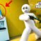 GAME TRỐN TÌM NGỤY TRANG NÀY THỰC SỰ RẤT HÀI BỰA | Meccha Chameleon