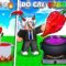 BI HUỲNH TẠO RA TƯƠNG ỚT CAY NHẤT THẾ GIỚI TRONG ROBLOX