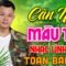 CĂN NHÀ MÀU TÍM – BOLERO CÔNG TUẤN ➤ LK Nhạc Lính Xưa Bất Hủ 1975 CỰC ÊM TAI DỄ NGỦ