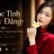 Nhạc 8x 9x – Cuộc Tình Cay Đắng – Nhạc Hoa Lời Việt – Đan Trường – Cover – Steven Beat