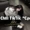 𝐏𝐥𝐚𝐲𝐥𝐢𝐬𝐭 Nhạc Chill TikTok Triệu View – Nhạc Buồn Chill 2026 “Cực Suy”, Nhạc Lofi Chill Buồn TikTok