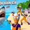 BI HUỲNH CÙNG ĐỒNG BỌN RA ĐẢO HOANG CÂU CÁ PHIÊN BẢN BẮN SÚNG CỰC BỰA 🤣 | TẬP 1