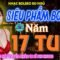 Buổi Sáng Mở Nhạc Này SIÊU PHẨM BOLERO ➤BOLERO Mới Đét 2026 Nhạc Vàng Xưa CỰC ÊM TAI Nghe Cực Nghiện