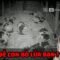Tôi Lắp Camera ở Chuồng Bò Phát Hiện Điều Đáng Sợ Này ?! bqThanh & Ốc Chơi The Cattle